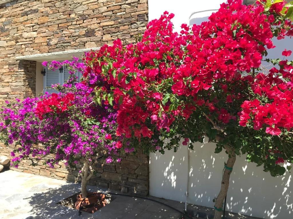 Oikia Petra Villa Агиос Йоанис Екстериор снимка